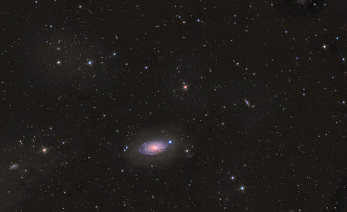 The Sunflower Galaxy Poster Print by Reinhold Wittich/Stocktrek Images - Item # VARPSTRWT200013S