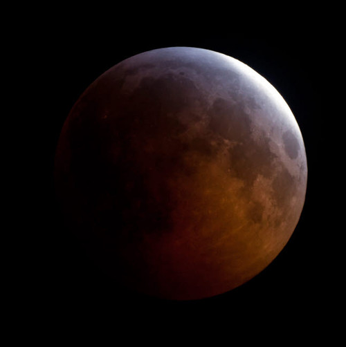 Lunar Eclipse Poster Print by Phillip Jones/Stocktrek Images