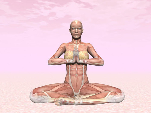 Female musculature performing meditation yoga pose Poster Print by Elena Duvernay/Stocktrek Images - Item # VARPSTEDV700030H Female musculature performing meditation yoga pose Poster Print by Elena Duvernay/Stocktrek Images - Item # VARPSTEDV700030H