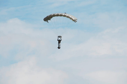 A paratrooper of the Belgian Army in the air Poster Print by Luc De Jaeger/Stocktrek Images - Item # VARPSTJAE100062M
