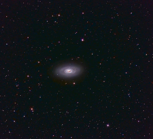 The Black Eye Galaxy Poster Print by John Davis/Stocktrek Images - Item # VARPSTJDA100005S