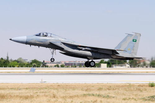 A Royal Saudi Air Force F-15C Eagle landing on the runway Poster Print by Daniele Faccioli/Stocktrek Images - Item # VARPSTDFC100168M