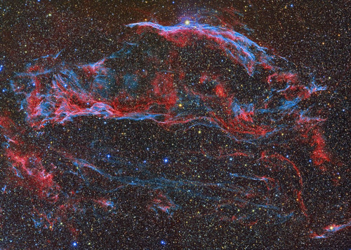 NGC 6960, The Western Veil Nebula Poster Print by Reinhold Wittich/Stocktrek Images - Item # VARPSTRWT200043S