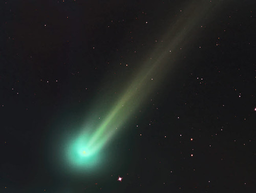 Comet C/2013 R1 Lovejoy Poster Print by Reinhold Wittich/Stocktrek Images - Item # VARPSTRWT200032S