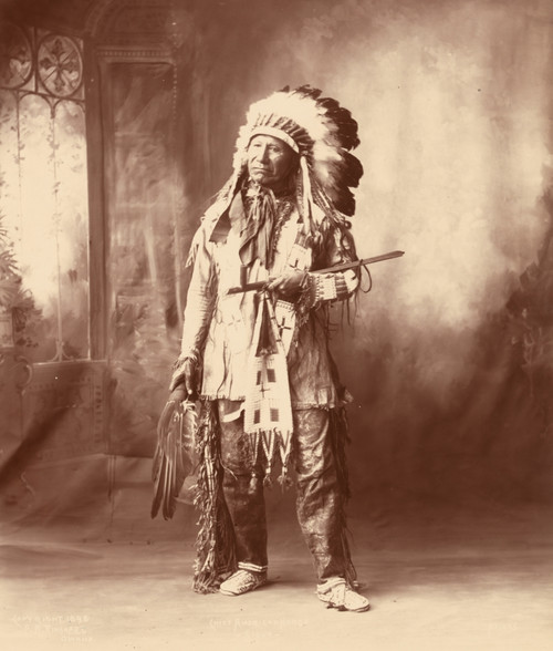 full-length portrait of Sioux man in full regalia. Poster Print - Item # VARBLL058751388L