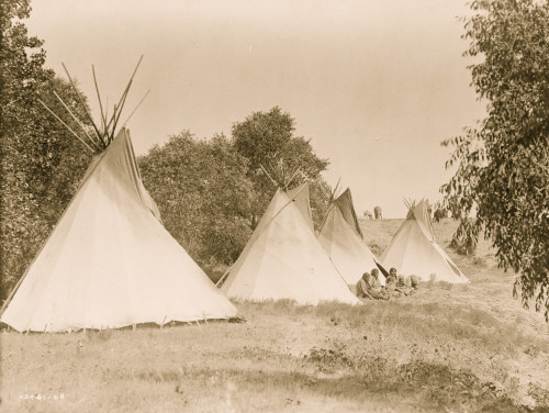 Four canvas covered tipis, Assiniboine women and children seated on ground, South Dakota. Poster Print - Item # VARBLL058747648L