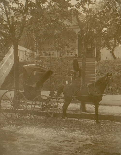 African American doctor carrying small leather bag, standing on steps to residence, horse-drawn carriage in the foreground Poster Print - Item # VARBLL0587632550