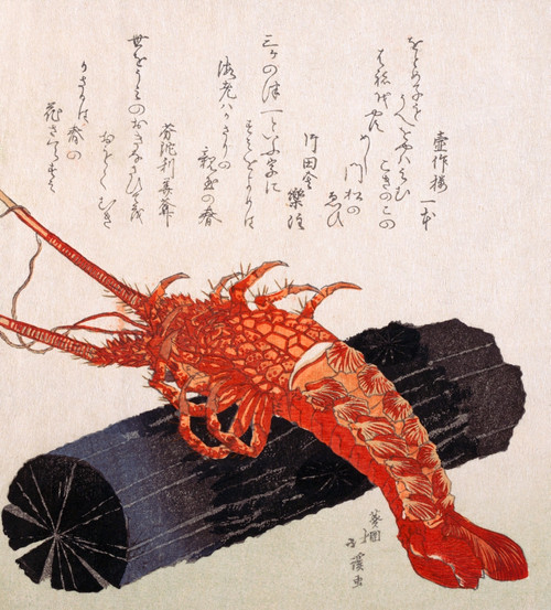 Lobster on a log Poster Print by Hokkei - Item # VARBLL0587651253