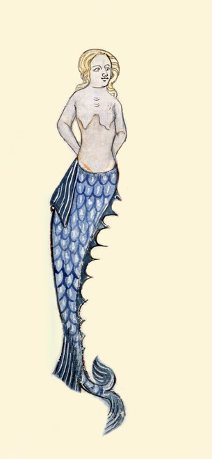 Illuminated manuscript detail of a Mermaid. The codex is from France 13-14th cent. Poster Print by unknown - Item # VARBLL0587381612