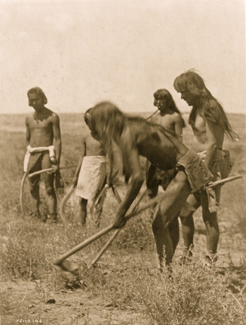 Digging out the snakes Poster Print - Item # VARBLL058746922L