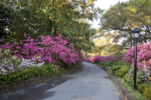 Bayou La Batre, Alabama, is a fishing village with a seafood-processing harbor for fishing boats and shrimp boats Poster Print by Carol Highsmith - Item # VARBLL0587558733