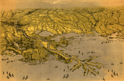 View of the Gulf coast centered on the Mississippi River delta, showing cities and towns, roads, railroads, rivers, and forts. Poster Print - Item # VARBLL058758968L