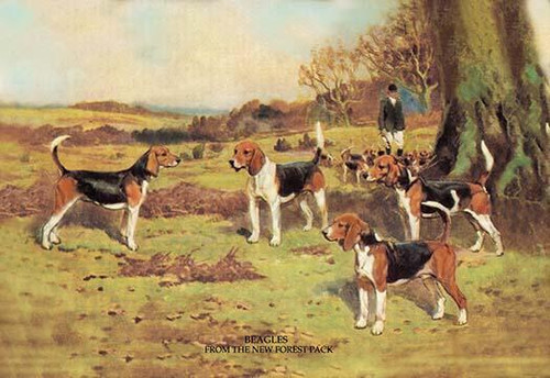 A person and a dog in an open field. Poster Print by T. Ivester Llyod - Item # VARBLL0587047356