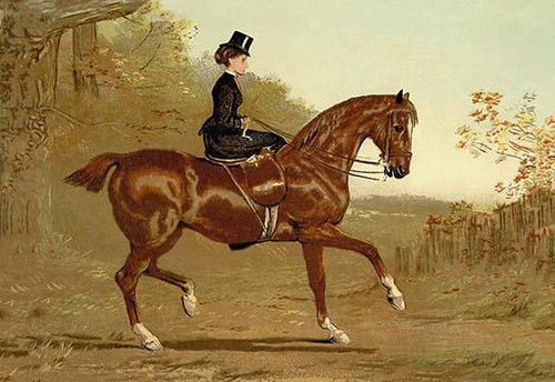 Originally published separately, these prints were combined into a book in 1873 and a section on veterinary medicine was added.  Going to cover portrait by the late Alfred Conbould esq. Poster Print by Samuel Sidney - Item # VARBLL0587065583