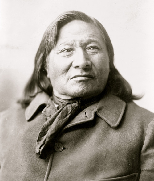 Rain in the Face, Indian, head-and-shoulders portrait, facing right. Poster Print - Item # VARBLL058751231L