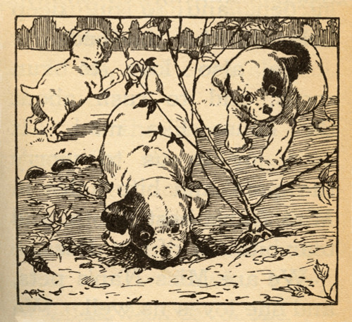 Three puppies dig up a rose bush. Poster Print by AEK - Item # VARBLL0587407158