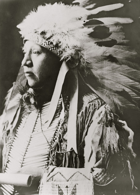 Dewitt Hare Poster Print - Item # VARBLL058751393L