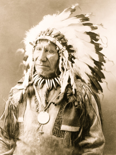 Lakota Sioux Indian in feather headdress, half-length portrait, facing left. Poster Print - Item # VARBLL058751194L