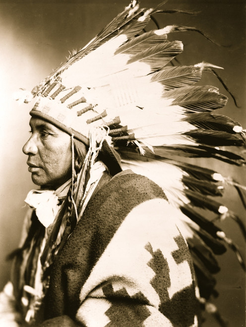 Sego--Shoshone Indian, half-length portrait, facing left] Poster Print - Item # VARBLL058751187L