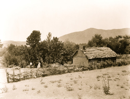 An Indian home and orchard, Tejon ranch, Kern County, California Poster Print - Item # VARBLL058751247L
