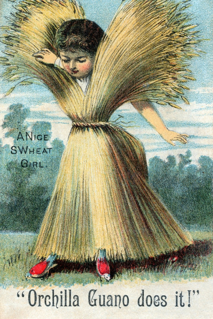 Victorian trade card for Orchilla Guano, a fertilizer used to grow crops like wheat.  The title of this card was "A Nice Swheat Girl." Poster Print by unknown - Item # VARBLL058734296x