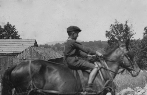 Eleven-year old Wason, driving horse to the field. Poster Print - Item # VARBLL058755221L