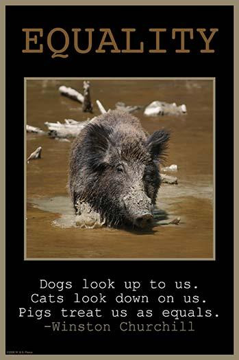 Dogs look up to us.  Cats look down on us.  Pigs treat us as equals.  Winston Churchill Poster Print by Wilbur Pierce - Item # VARBLL0587223782