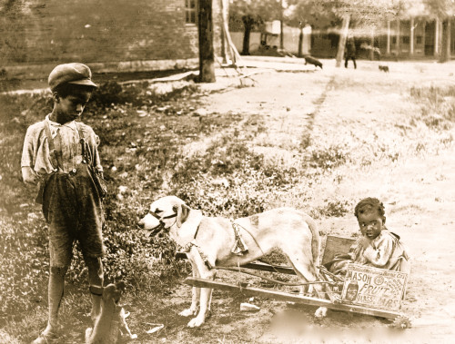 Two African-American children, one of them in cart pulled by dog. Poster Print - Item # VARBLL0587635355