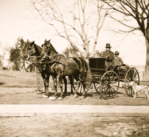 City Point, Virginia.] Gen. Rufus Ingalls in buggy with colored boy Poster Print - Item # VARBLL058745327L