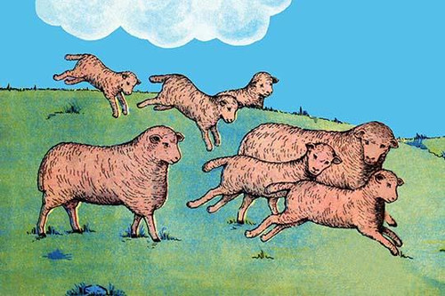 Frolicing sheep jump in the meadow. Poster Print by Queen Holden - Item # VARBLL0587279168