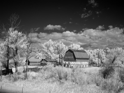 Barn, rural Montana Poster Print - Item # VARBLL058748556L