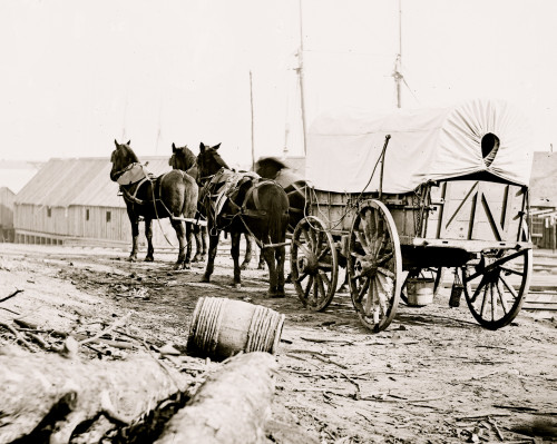 City Point, Virginia. Four-mule army team and wagon Poster Print - Item # VARBLL058753361L
