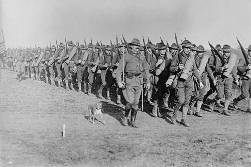 Marching US Infantry in Texas is massed for the Mexican Border Campaign but a mascot dog is near the head of the column; The US was prepared to enter Mexico with Infantry to capture Pancho Villa Poster Print by unknown - Item # VARBLL058745927L