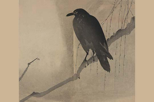 Crow on a willow branch Poster Print by unknown - Item # VARBLL0587236035