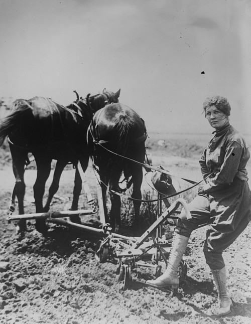 Woman's Land Army, Plowing a Field Poster Print - Item # VARBLL058756578L
