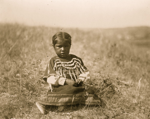 Young Piegan girl, full-length portrait, wearing dress decorated with elk teeth, sitting on open ground, facing front. Poster Print - Item # VARBLL058747678L