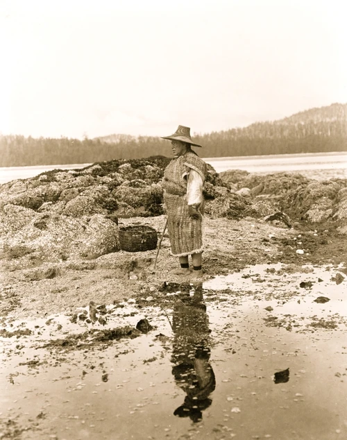 Man Digs for Clams Poster Print