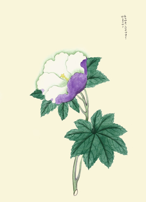 Japanese print of Dragonfly & Pumpkin Poster Print by Megata Morikaga - Item # VARBLL0587418834