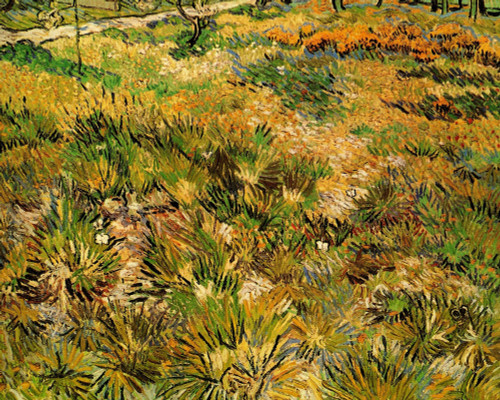 Meadow in the Garden of Saint-Paul Hospital Poster Print - Item # VARBLL058750451L
