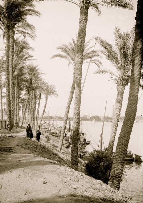 View looking down the Nile, Cairo Poster Print - Item # VARBLL058754094L