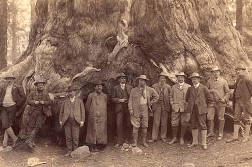 Theodore Roosevelt and his distinguished party, before the "Grizley Giant," big trees of California Poster Print by Underwood & Underwood - Item # VARBLL0587336285