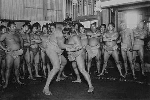 Two Japanese Sumo Wrestlers attempt to get the advantage over their opponent while the full  cadre of fellow sumo look on. Poster Print by unknown