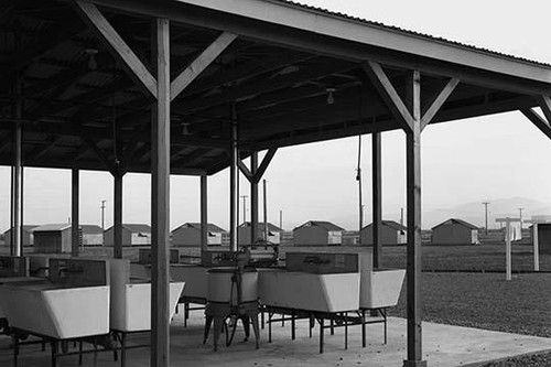 Laundry facilities at Westley camp for migratory labor. San Joaquin Valley, California Poster Print by Dorothea Lange - Item # VARBLL0587240962