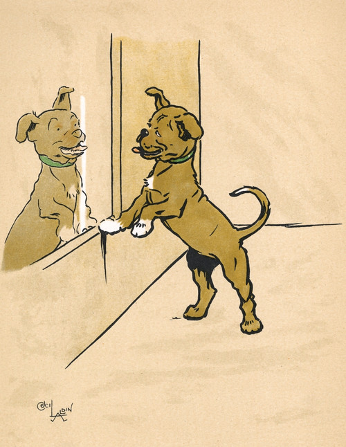 Mongrel Puppy Looking In A Mirror Poster Print By Mary Evans Picture Library - Item # VARMEL10956527