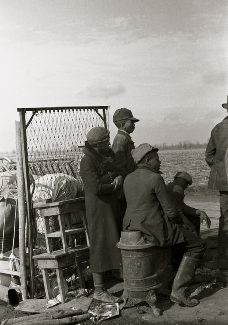 African American Evicted sharecroppers along Highway 60, New Madrid County, Missouri Poster Print - Item # VARBLL0587635665