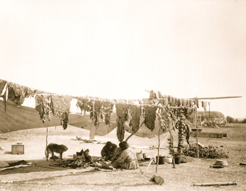 Two Dakota Sioux Indians cutting meat and drying it on poles. Poster Print - Item # VARBLL058747132L