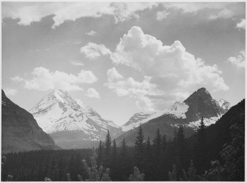 Looking across forest to mountains and clouds "In Glacier National Park" Montana. 1933 - 1942 Poster Print by Ansel Adams - Item # VARBLL0587400390