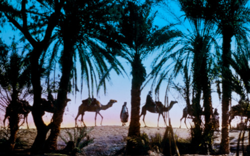 Sinai. Springs of Moses. Exodus 15:23 Poster Print - Item # VARBLL058754099L