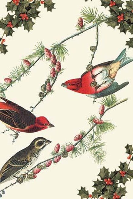 Christmas nature scene with birds and holly branches. Poster Print by Sara Pierce - Item # VARBLL0587333359
