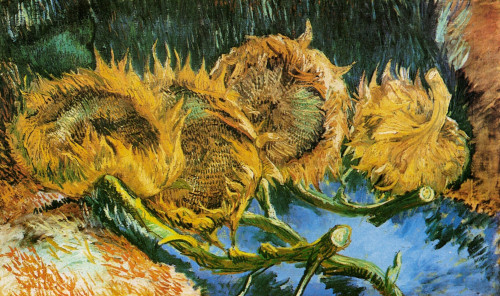 Four Cut Sunflowers Poster Print - Item # VARBLL058750365L